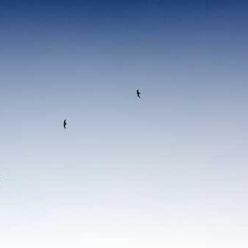 Gift item Product 8