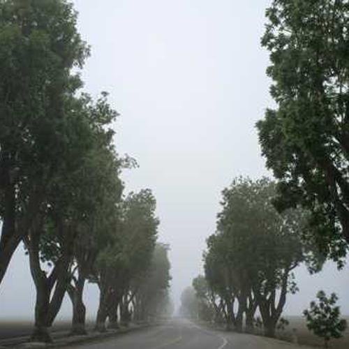 Personal Care Product 8