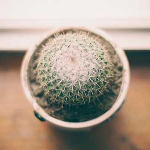 School bags Product 10