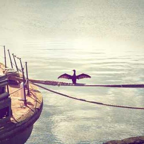 Accessories Product 6