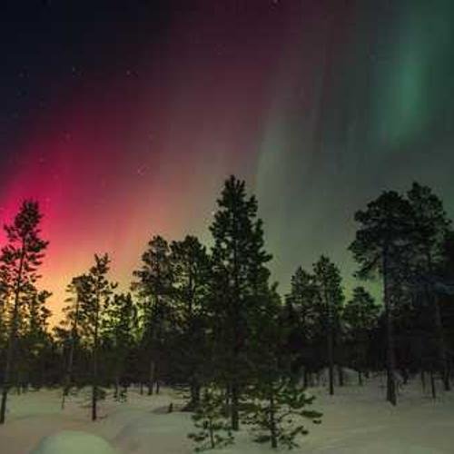 Accessories Product 7