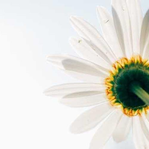 Smart Watches Product 4