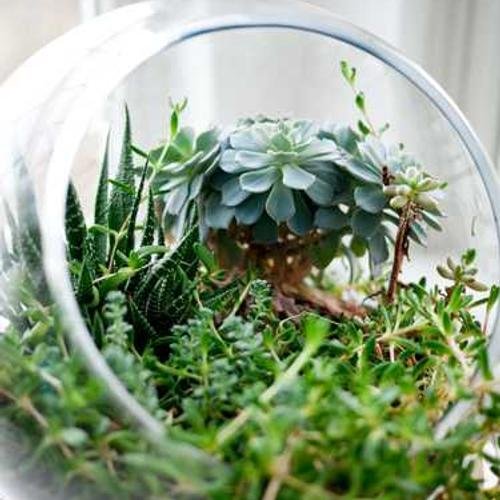 Refrigerator Product 6