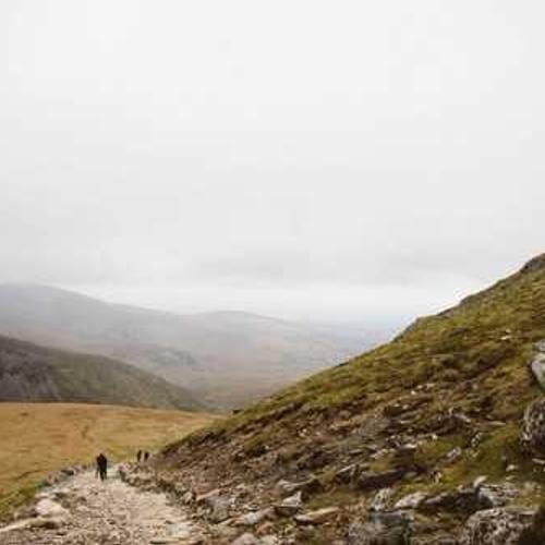 Household Product 10