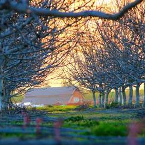 Gel Pen Pack (12 pcs)